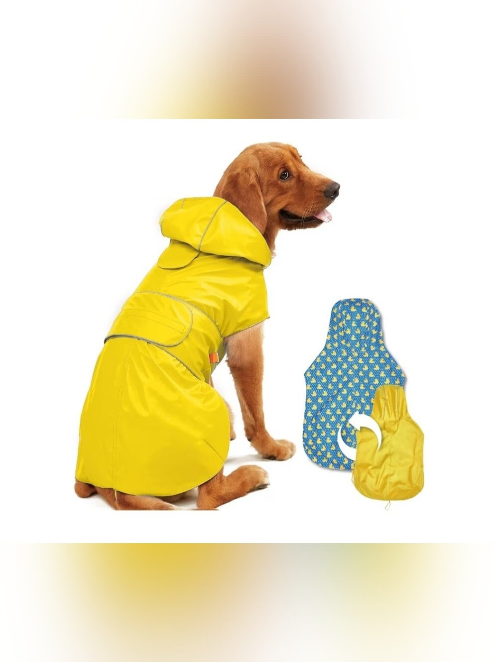 Dog Raincoat Yellow Reversible Waterproof  with Hood and Reflective Trim Size M